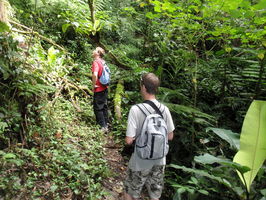 Pralesní stezka ve své plné parádě. | Malaysia - Výlet do pralesa - 1.8.2010